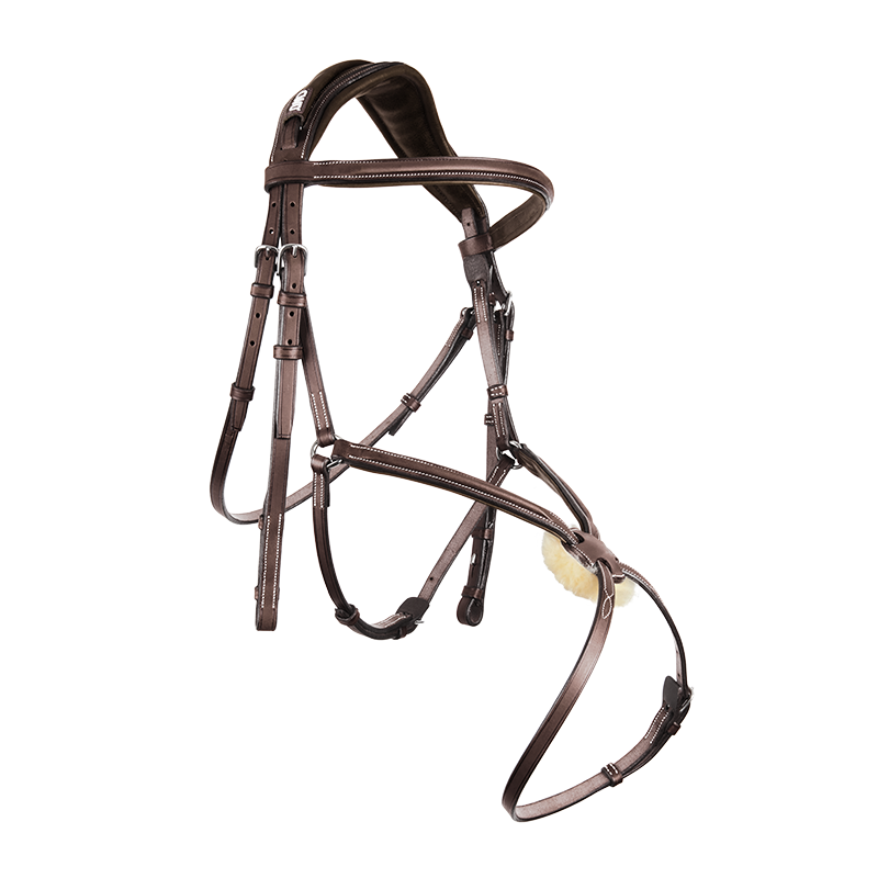 BR anatomic Bridle\