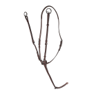 CWD}^K[MA01C