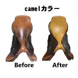 V[g̕\@Camel