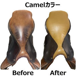 V[g̕\@Camel